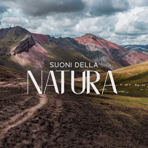 Suoni Della Natura: Musica New Age Rilassante Per Cura Di Corpo E Mente, Meditazione Profonda, Yoga, Tai-Chi, Pilates - Melodie Rilassanti Della Natura
