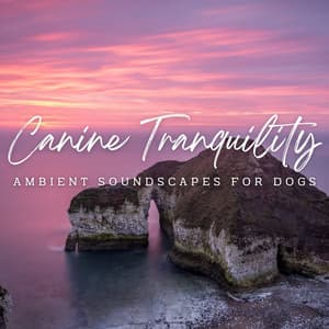 Raindrop Canine Tranquility: Ambient Soundscapes for Dogs - Concentration Rain Sounds