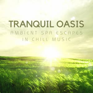 Tranquil Oasis: Ambient Spa Escapes in Chill Music - Pure Ambient Music