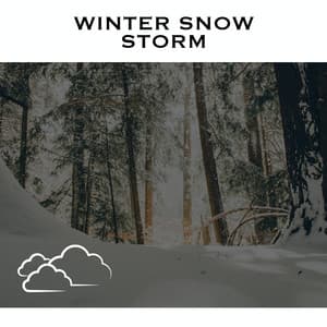 Winter Snow Storm - Serene Rose