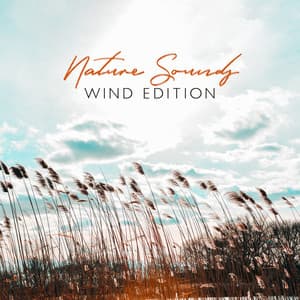 Nature Sounds: Wind Edition, ASMR, Head Clearing - Natural Sounds Music Academy