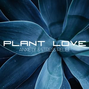 Anxiety & Stress Relief - Plant Love