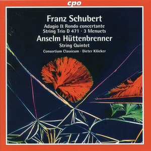 Schubert & Hüttenbrenner: Chamber Works - Consortium Classicum