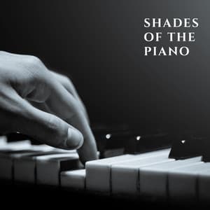 Shades of the Piano - Easy Listening Relaxation Piano Radio