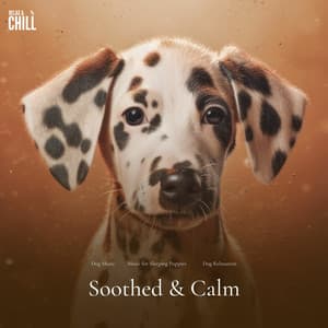 #01 Soothed & Calm - Dog Music