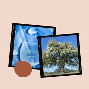 Aromatherapy - Serene - Deep Sleep Meditation Radio