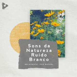 Sons da Natureza Ruído Branco - Relaxante: Por Rafael