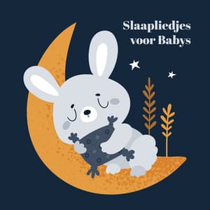 Slaapliedjes voor Babys: Rustige Nacht Gewenst, Beste Slaapmiddel - Sleepy Baby Princess Music Academy