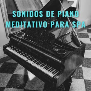 Melodías Del Zen: Sonidos De Piano Meditativo Para Spa - Piano de una audiencia