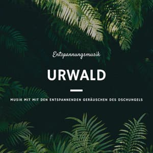 Entspannungsmusik Urwald - Erste Genesis