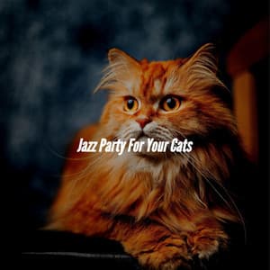 Jazz Party For Your Cats - Smooth Dinner Jazz Group
