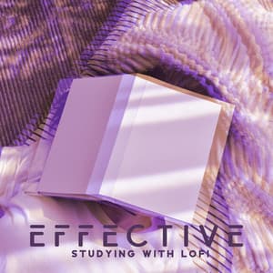 Effective Studying with Lofi: Chillout Lofi Beats for Ambience of Focus for Studying - Exam Study Chillout