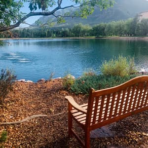 Solstice Serenity: Harmonic Celebrations of Nature - The Healing Power Of Granular Sound