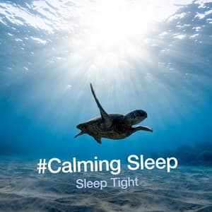 #Calming Sleep - Sleep Tight
