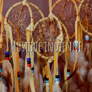 Musique indienne, Voyage chamanique - American Native