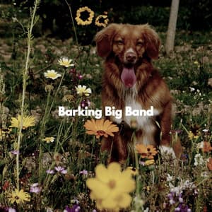Barking Big Band - Instrumental Study Music