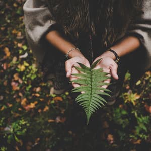 Sounds of Nature | Yoga | Spa Music | Spa Music - Amazing Spa Music