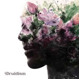 Druidism - Pat McKenneth