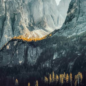 12AM Bedroom Sounds: Whispering Forest Echoes - White Noise Therapy