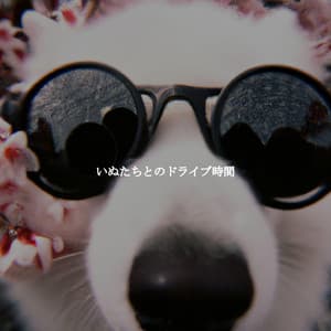 いぬたちとのドライブ時間 - Jazz Ambiental para Hoteles