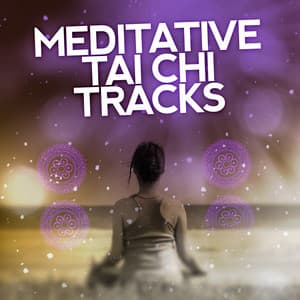 Meditative Tai Chi Tracks - Tai Chi