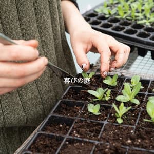 喜びの庭 - Coffee Shop Music Deluxe