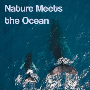 Nature Meets the Ocean - Sea of Waves