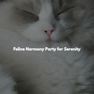 Feline Harmony Party for Serenity - Jazz for Working Background Music