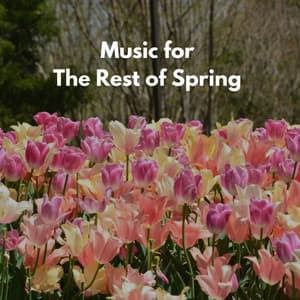 Music for The Rest of Spring - Relaxing Jazz Cafe