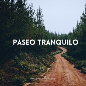 Paseo Por La Tranquila Jungla - Sonidos de la jungla