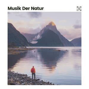 Musik der Natur - Guten Schlafen Akademie