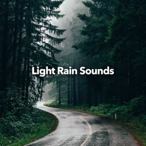 Light Rain Sounds - Sounds Of The Sea