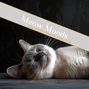 Meow Moods: Curating Calm Environments Through Soothing Tunes - Cat & Calm