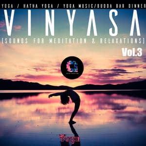 Vinyasa, Vol.3 - Hatha Yoga