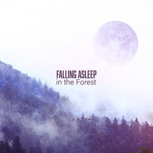 Falling Asleep in the Forest: Best Woodland Sounds for Deep Sleep, Insomnia Aid, Bedtime Relaxation - Sleeping Aid Music Lullabies
