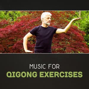 Music for Qigong Exercises – Tai Chi Training, Mindfulness Yoga, Deep Zen Relaxation, Calming New Age Music, Meditation & Serenity, Stress Reduction - Asian Tradition Universe