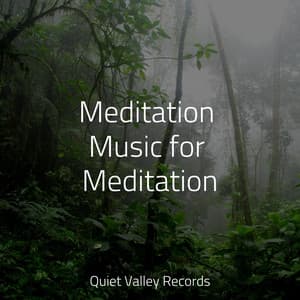 Meditation Music for Meditation - Baby Sleep