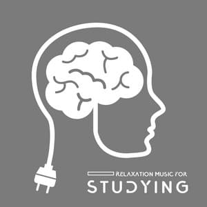 Relaxation Music for Studying: Mindfulness Therapy for Better Learning - Study Music Guys
