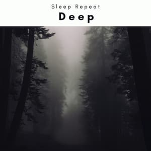 1 Deep - Sleep Repeat