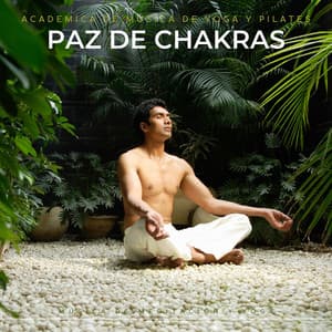 Paz de Chakras: Música de Meditación Yoga - Academica de Música de Yoga Pilates