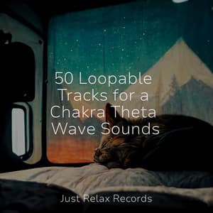 50 Loopable Tracks for a Chakra Theta Wave Sounds - Dormir
