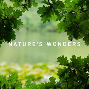 Nature's Wonders - Nature Field Recordings