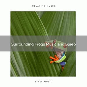 2020 Best: Surrounding Frogs Music and Sleep - Stereo Outdoor Sampling
