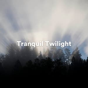 Tranquil Twilight: Ambient Melodies for Evening Meditation and Relaxation - Cleanse & Heal