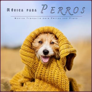Música para Perros: Música Tranquila para Perros con Piano - Música Para Perros