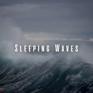 Sleeping Waves: Rainy Beach Meditations - Rainfall Meditations