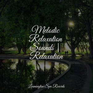Melodic Relaxation Sounds | Relaxation - Nature's Symphony