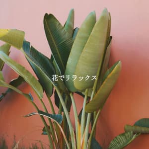 花でリラックス - Coffee Shop Smooth Jazz