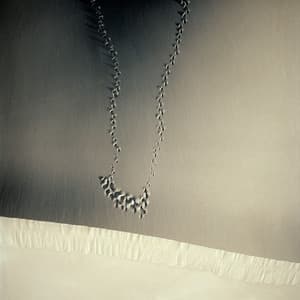 Viewpoint - Michel Banabila