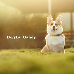 Dog Ear Candy - Soothing Dog Sounds